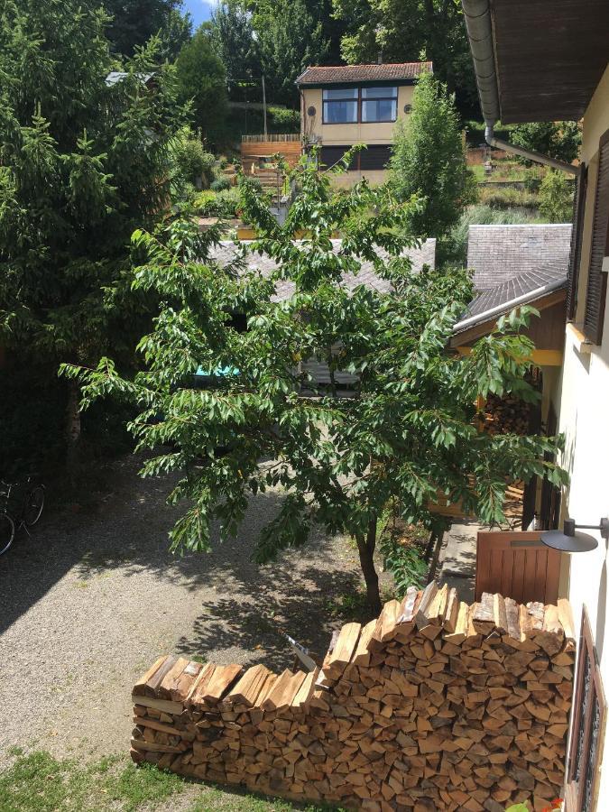 Charmant Appartement Sur Cour, Le Cerisier Bagnères-de-Bigorre Eksteriør billede