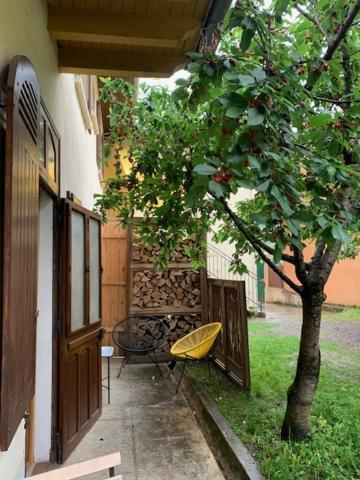 Charmant Appartement Sur Cour, Le Cerisier Bagnères-de-Bigorre Eksteriør billede